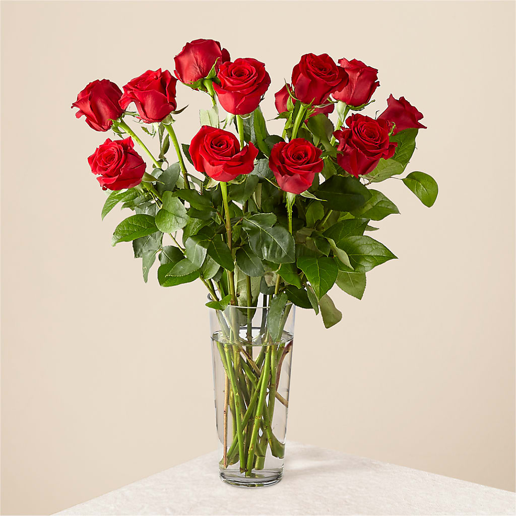 Long Stem Red Rose Bouquet – Jnblooms Llc, Spring Hill FL