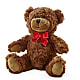 Adorable Plush Bear – Jnblooms Llc, Spring Hill FL