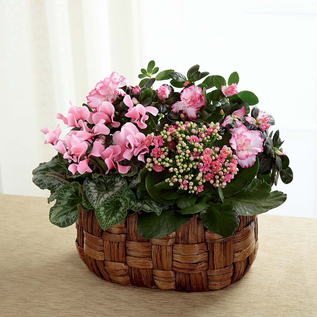 Pink Assortment – Jnblooms Llc, Spring Hill FL