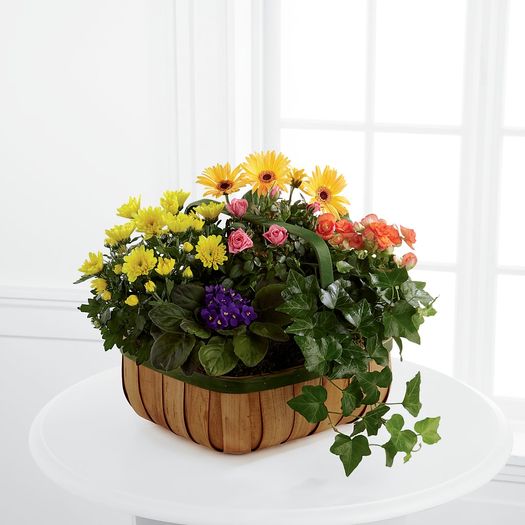 Gentle Blossoms Basket – Jnblooms Llc, Spring Hill FL
