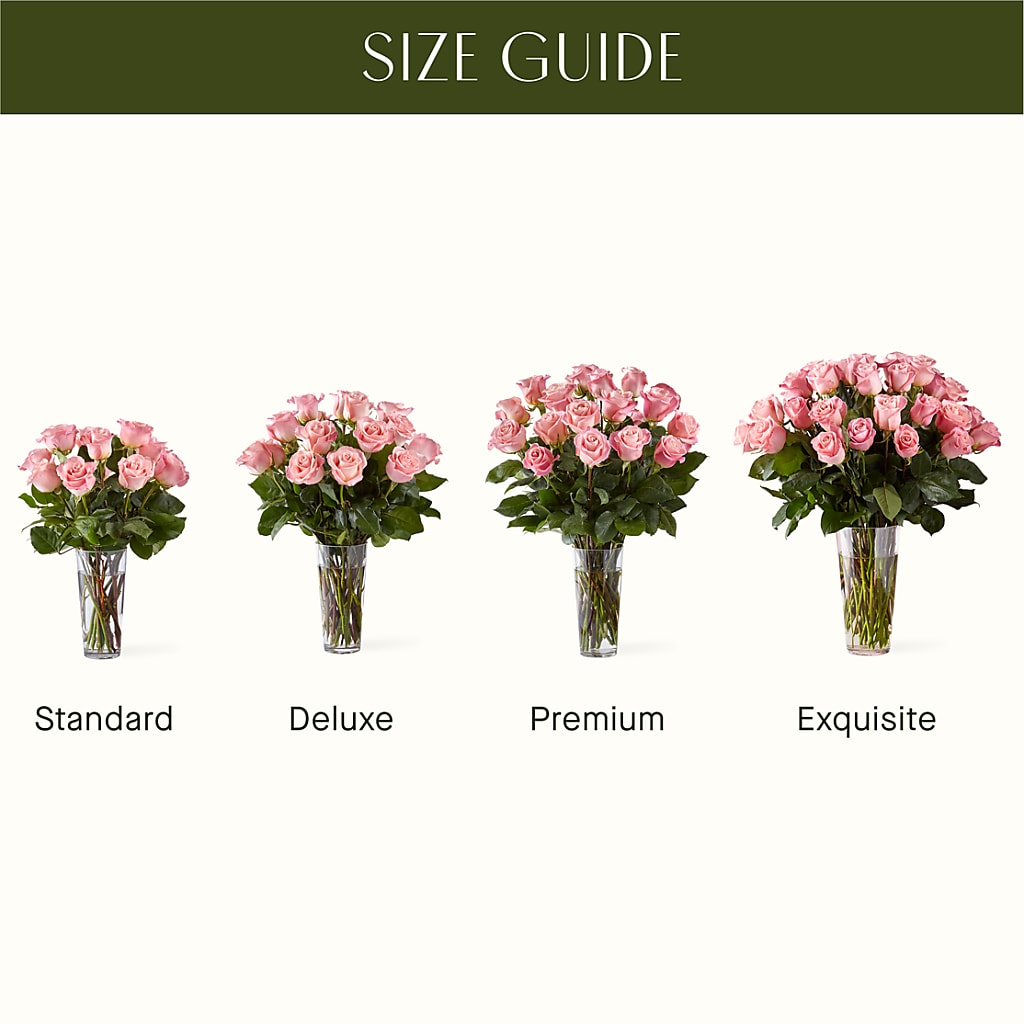Long Stem Pink Rose Bouquet – Jnblooms Llc, Spring Hill FL