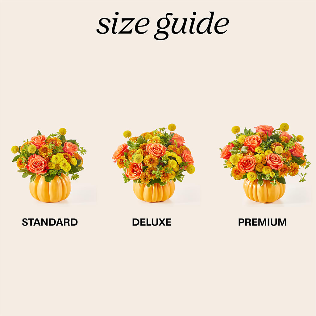 Gourdgeous Pumpkin – Jnblooms Llc, Spring Hill FL