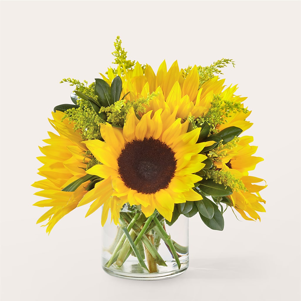 Beaming Sunflower Bouquet – Jnblooms Llc, Spring Hill FL