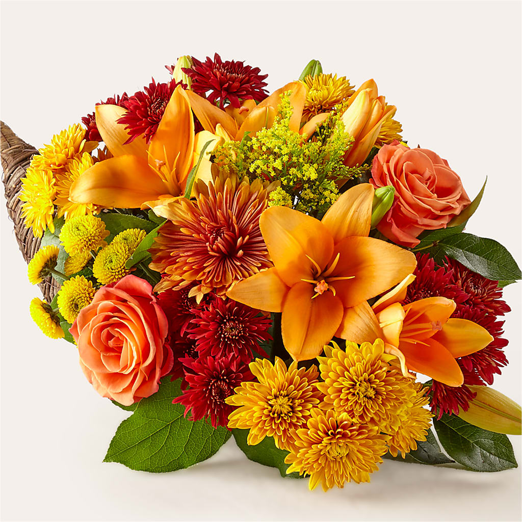 Feast of Color Cornucopia – Jnblooms Llc, Spring Hill FL