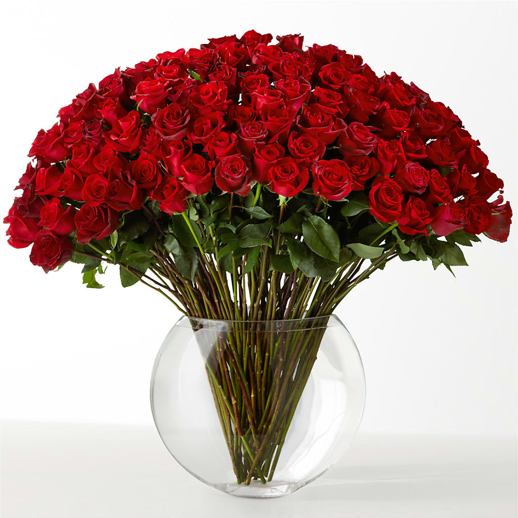 The Idealist – Jnblooms Llc, Spring Hill FL