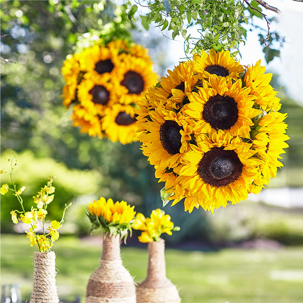 Sublime Garden Hanging Arrangement – Jnblooms Llc, Spring Hill FL