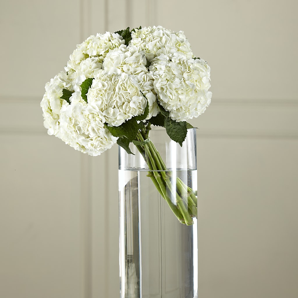 White Hydrangea Hand-Tied Bouquet – Jnblooms Llc, Spring Hill FL