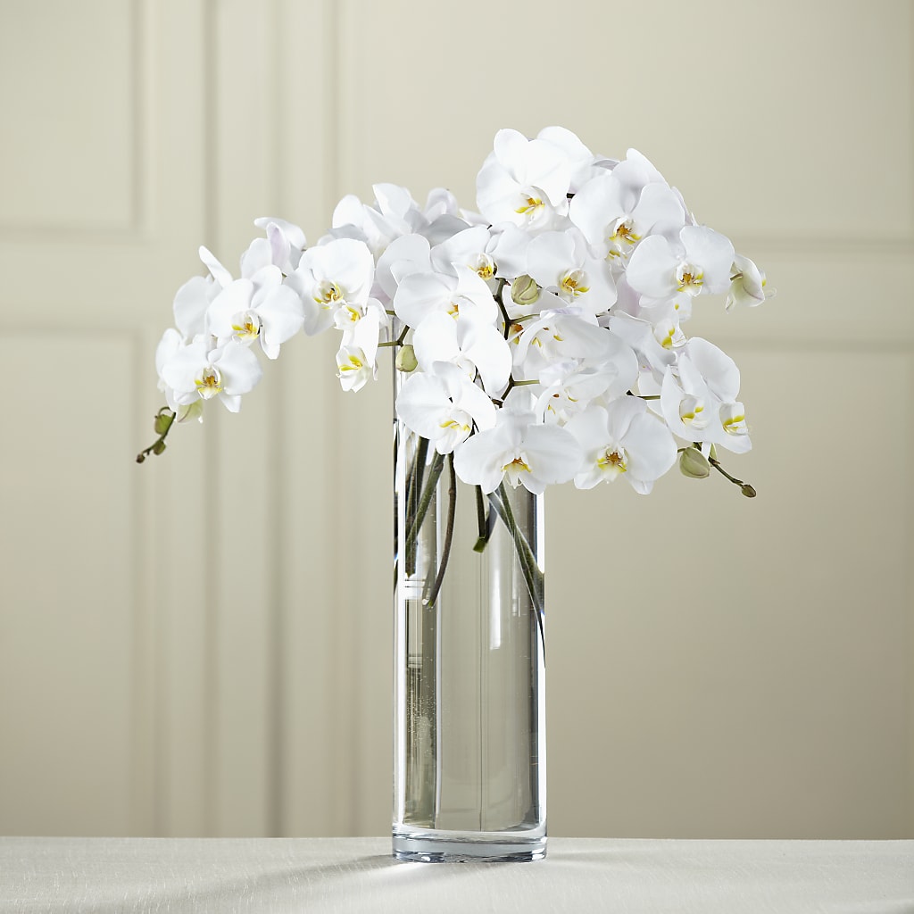 White Phalaenopsis Bouquet – Jnblooms Llc, Spring Hill FL