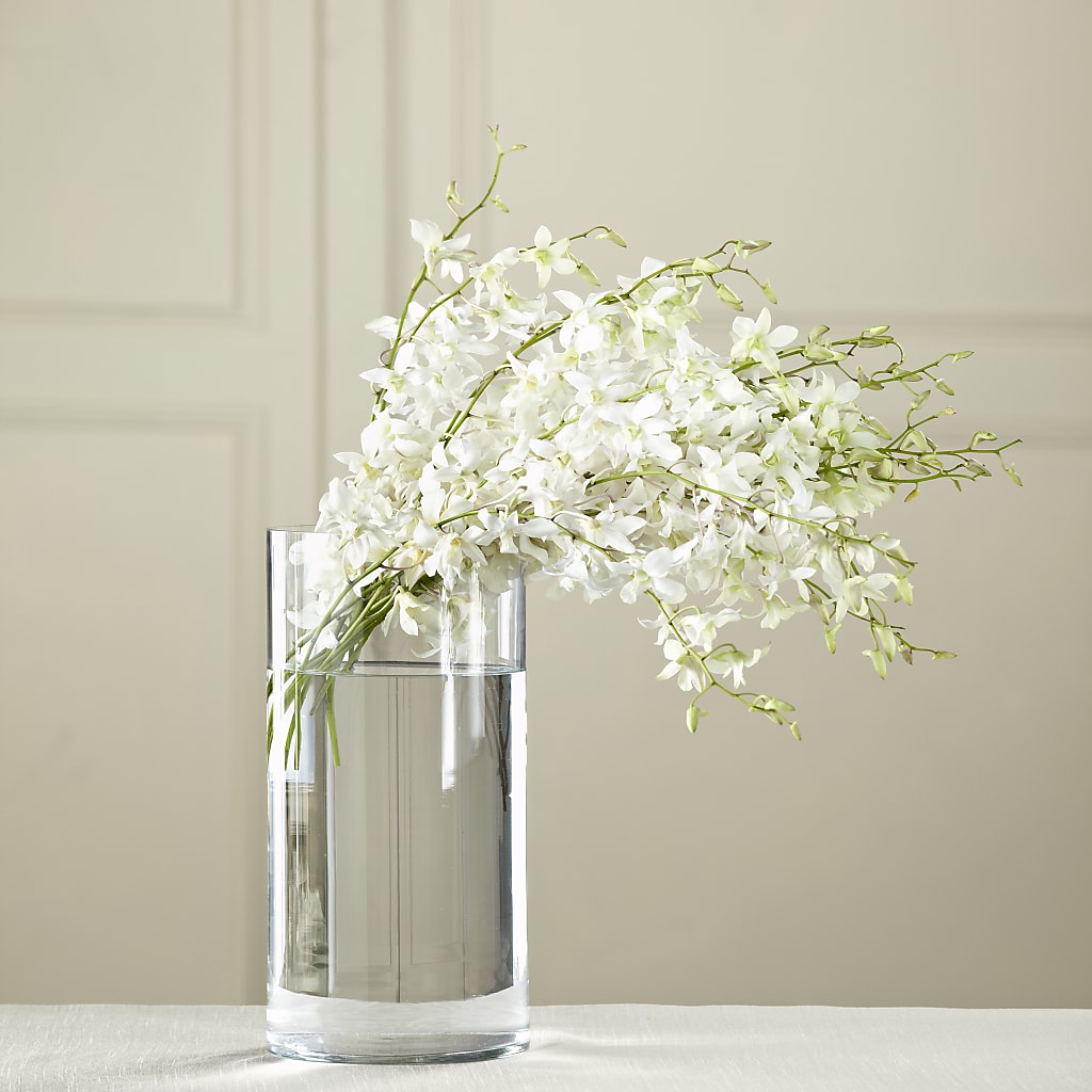 White Dendrobium Bouquet – Jnblooms Llc, Spring Hill FL