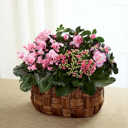 Pink Assortment –  Jnblooms Llc, Spring Hill FL