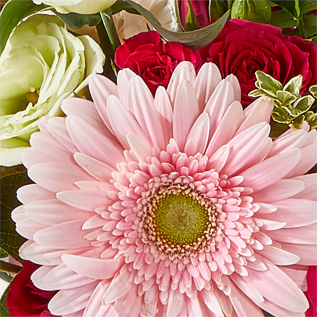 Too Cute Bouquet –  Jnblooms Llc, Spring Hill FL