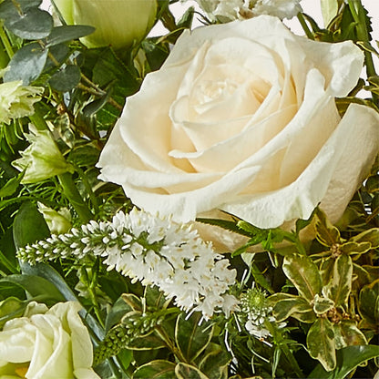 Cashmere Bouquet –  Jnblooms Llc, Spring Hill FL
