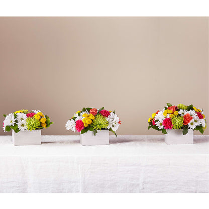 Sorbet Bouquet –  Jnblooms Llc, Spring Hill FL