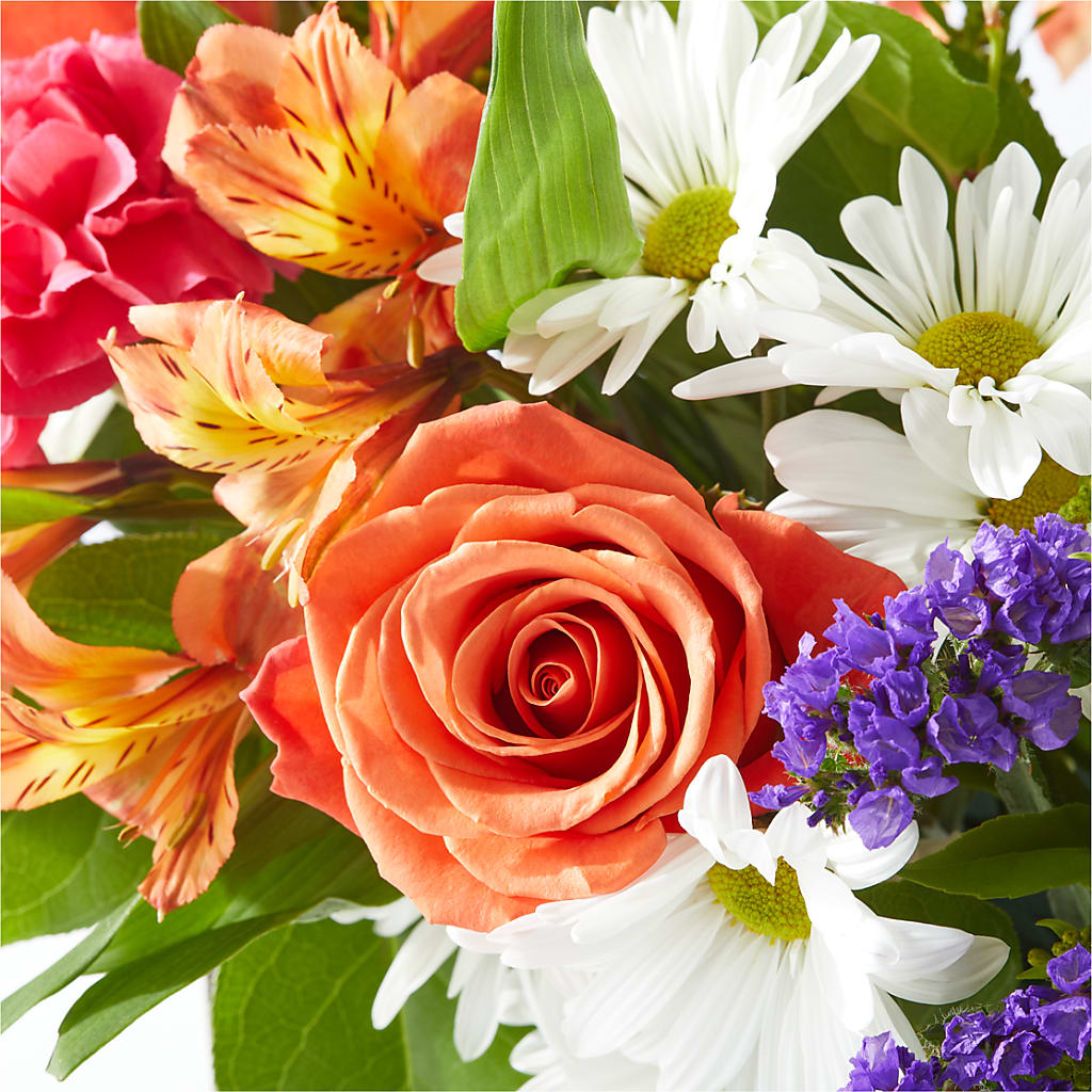 Oopsie Daisy Box Bouquet –  Jnblooms Llc, Spring Hill FL
