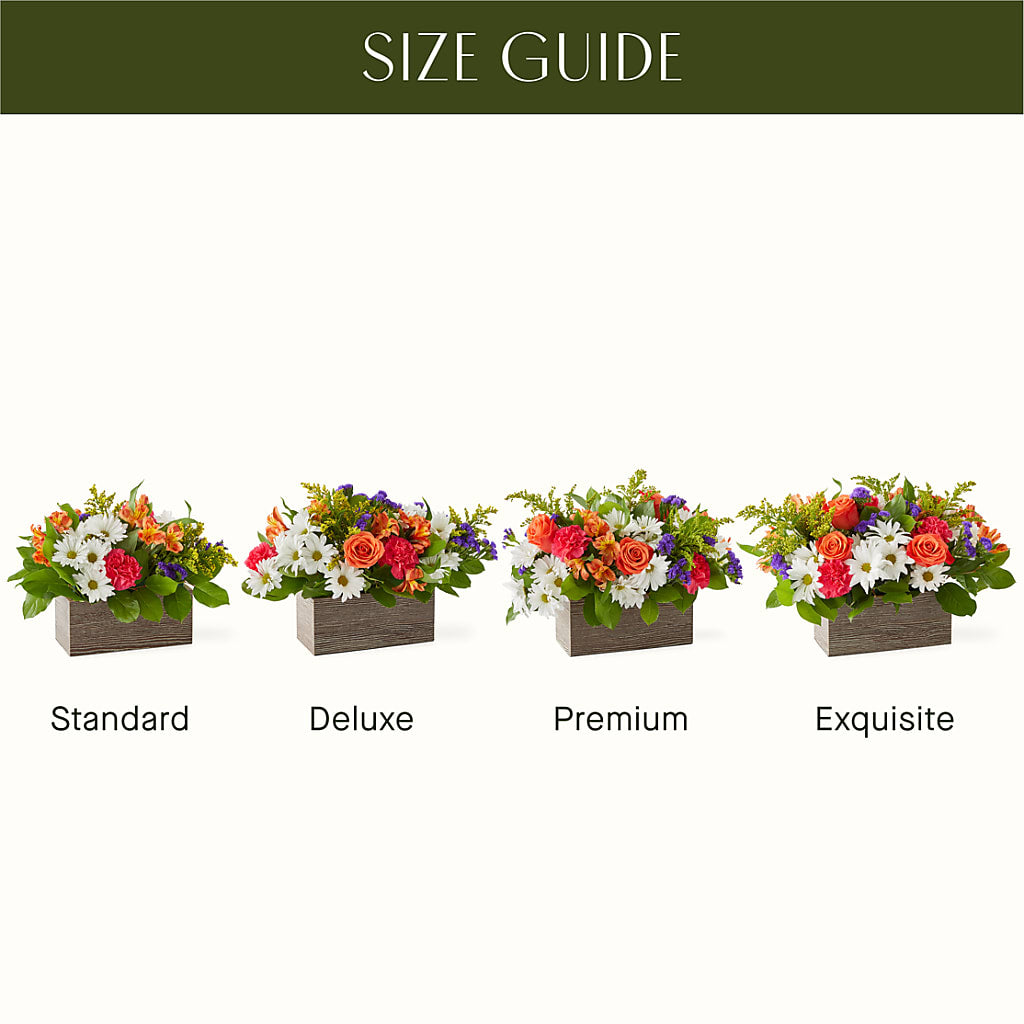 Oopsie Daisy Box Bouquet –  Jnblooms Llc, Spring Hill FL