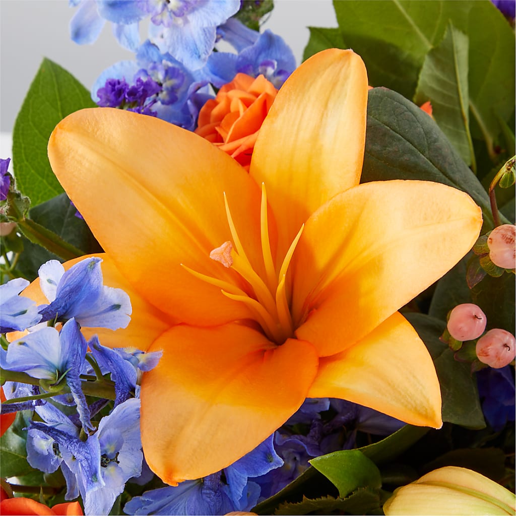 Radiant Citrus Box Bouquet –  Jnblooms Llc, Spring Hill FL