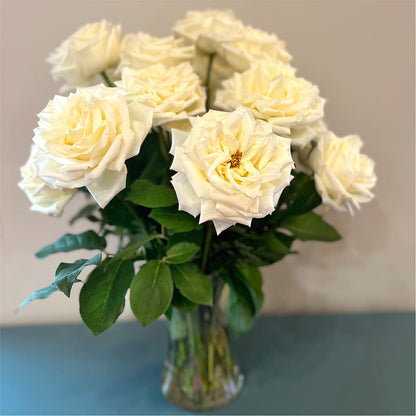 Long Stem Yellow Rose Bouquet –  Jnblooms Llc, Spring Hill FL