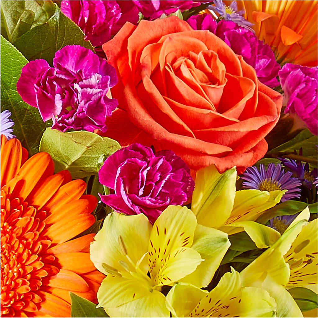 Tricks & Treats Pumpkin –  Jnblooms Llc, Spring Hill FL
