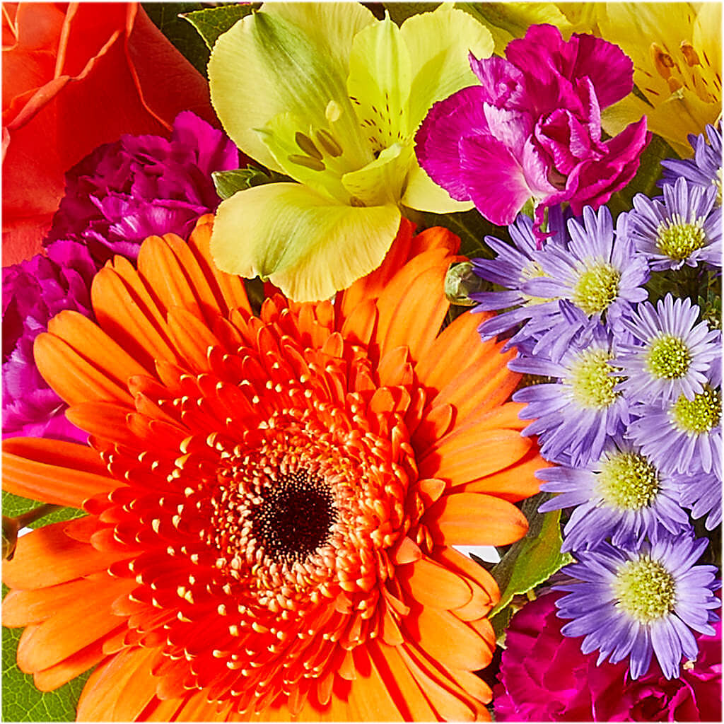 Tricks & Treats Pumpkin –  Jnblooms Llc, Spring Hill FL
