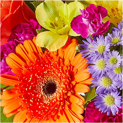 Tricks & Treats Pumpkin –  Jnblooms Llc, Spring Hill FL