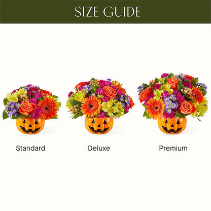 Tricks & Treats Pumpkin –  Jnblooms Llc, Spring Hill FL