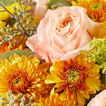 Peachy Pumpkin –  Jnblooms Llc, Spring Hill FL