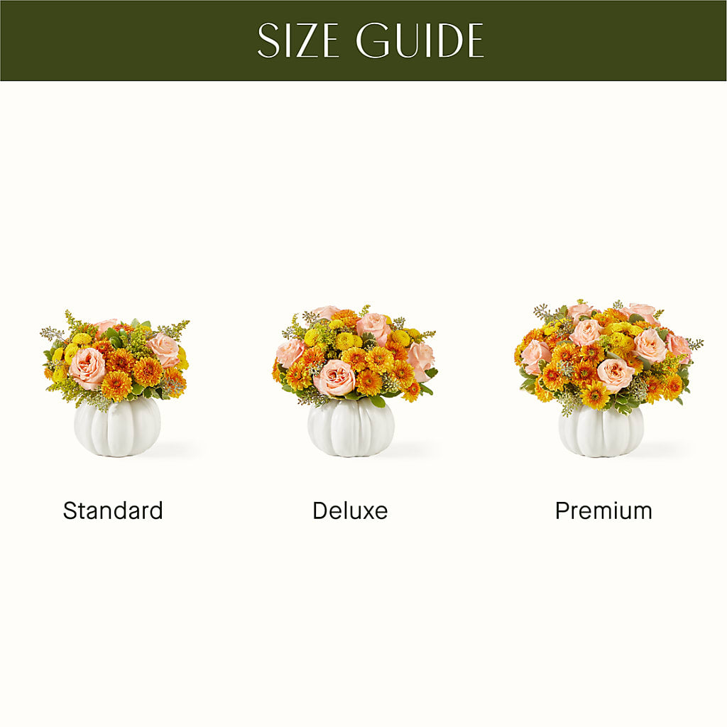 Peachy Pumpkin –  Jnblooms Llc, Spring Hill FL