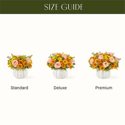Peachy Pumpkin –  Jnblooms Llc, Spring Hill FL