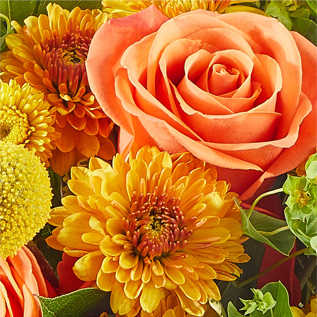 Gourdgeous Pumpkin –  Jnblooms Llc, Spring Hill FL
