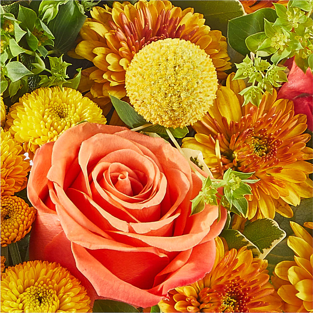 Gourdgeous Pumpkin –  Jnblooms Llc, Spring Hill FL