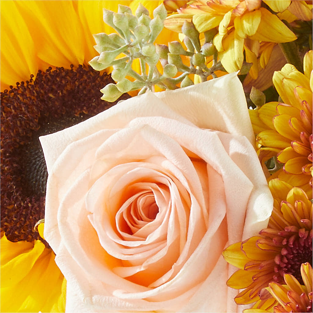 Pumpkin to Talk About Bouquet –  Jnblooms Llc, Spring Hill FL