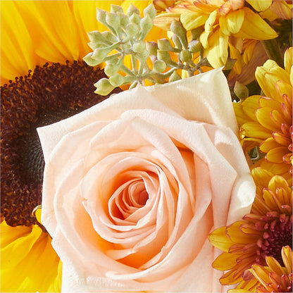 Pumpkin to Talk About Bouquet –  Jnblooms Llc, Spring Hill FL