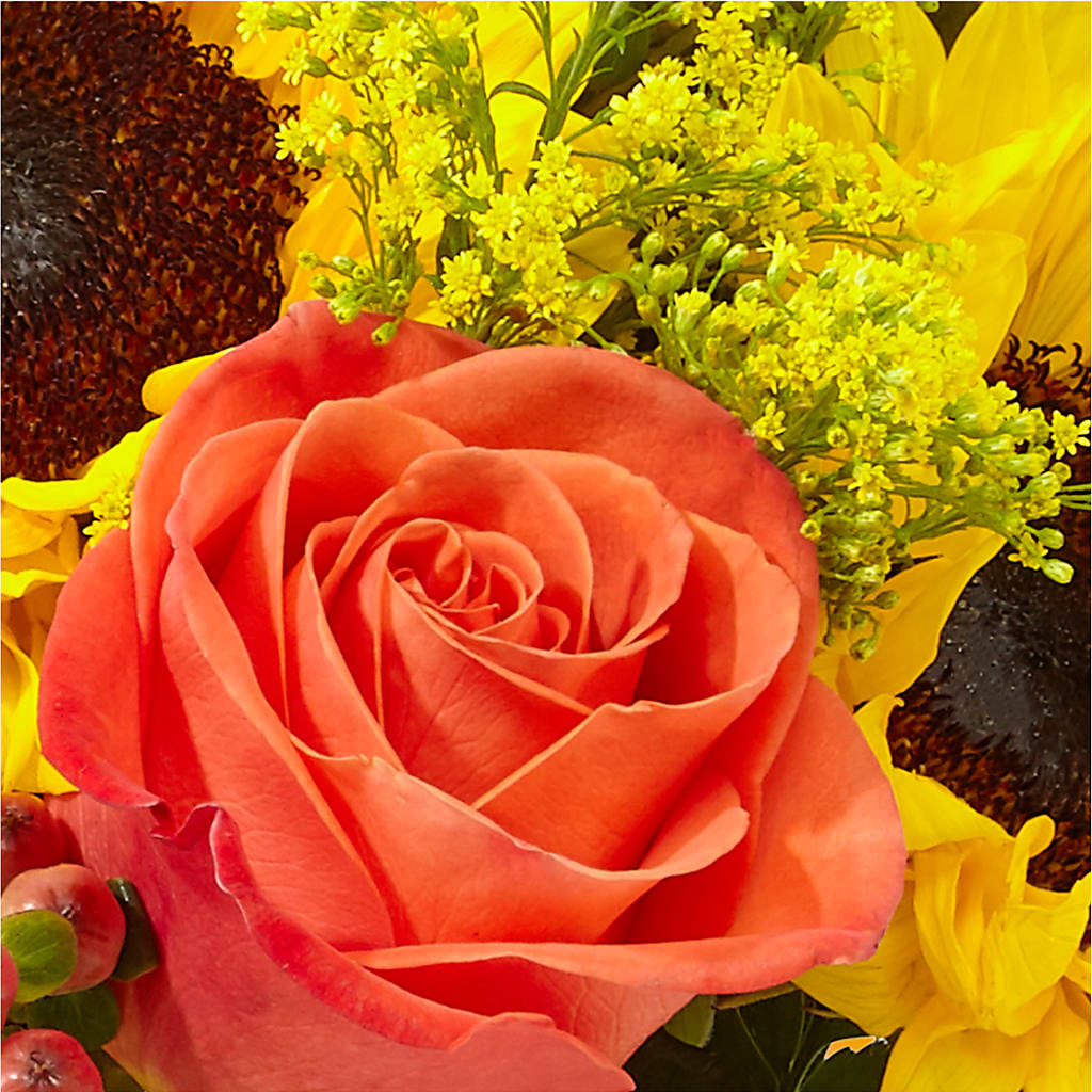 Pick of the Patch Pumpkin Bouquet –  Jnblooms Llc, Spring Hill FL