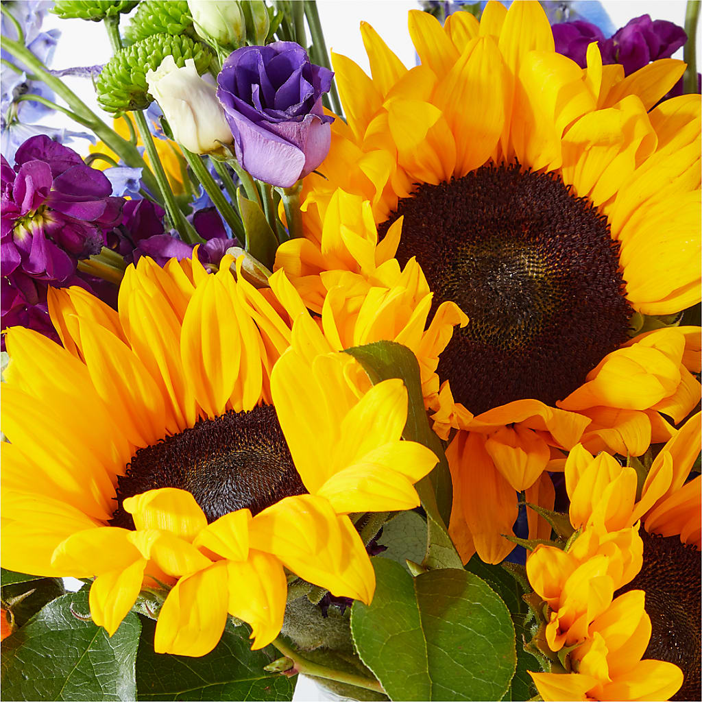 Catching Rays Bouquet –  Jnblooms Llc, Spring Hill FL