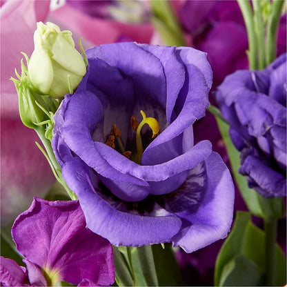 Twilight Glow Bouquet –  Jnblooms Llc, Spring Hill FL