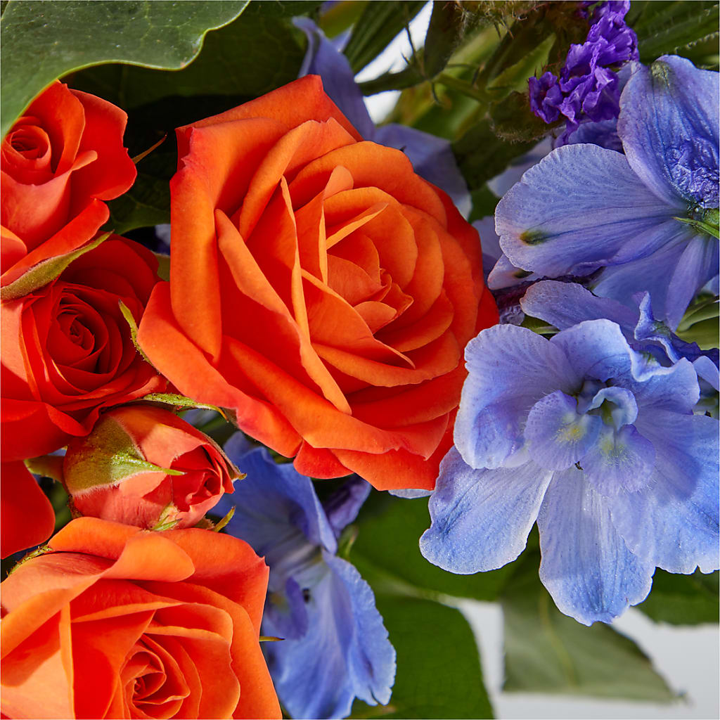 Radiant Citrus Bouquet –  Jnblooms Llc, Spring Hill FL