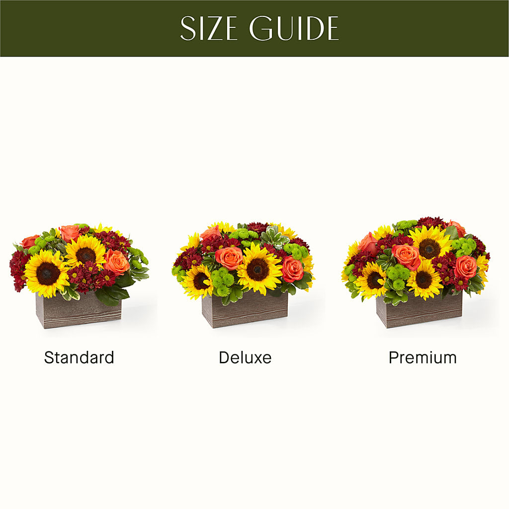 Happy Harvest Garden –  Jnblooms Llc, Spring Hill FL