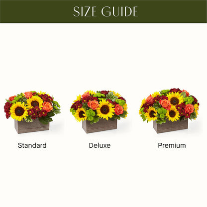 Happy Harvest Garden –  Jnblooms Llc, Spring Hill FL