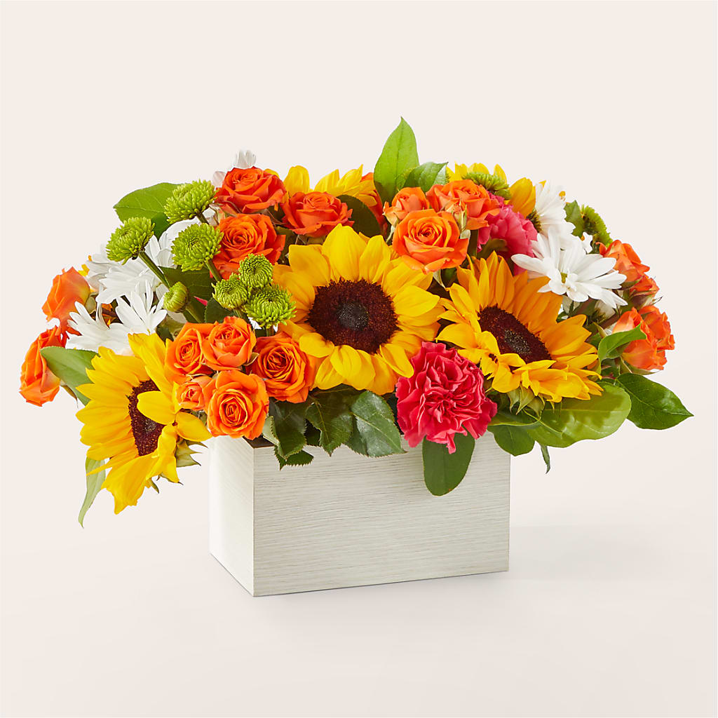 Sun-drenched Blooms Box Bouquet –  Jnblooms Llc, Spring Hill FL