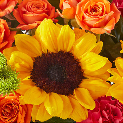 Sun-drenched Blooms Box Bouquet –  Jnblooms Llc, Spring Hill FL