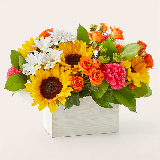 Sun-drenched Blooms Box Bouquet –  Jnblooms Llc, Spring Hill FL