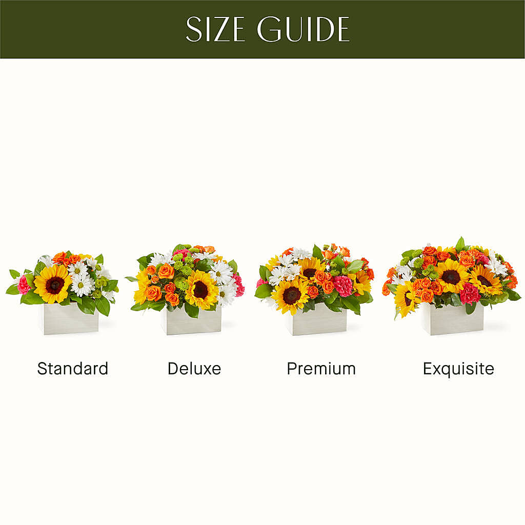 Sun-drenched Blooms Box Bouquet –  Jnblooms Llc, Spring Hill FL