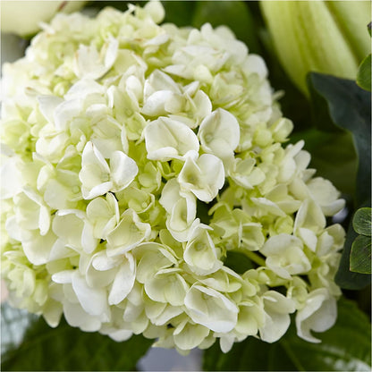 Classic Ivory – A Florist Original –  Jnblooms Llc, Spring Hill FL