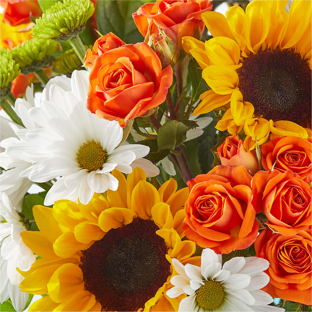 Sun-drenched Blooms Bouquet –  Jnblooms Llc, Spring Hill FL