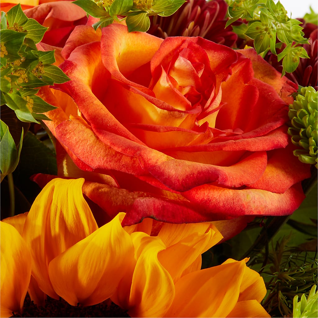Harvest Festival Bouquet –  Jnblooms Llc, Spring Hill FL