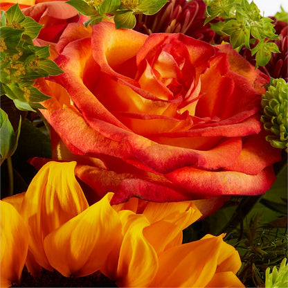 Harvest Festival Bouquet –  Jnblooms Llc, Spring Hill FL