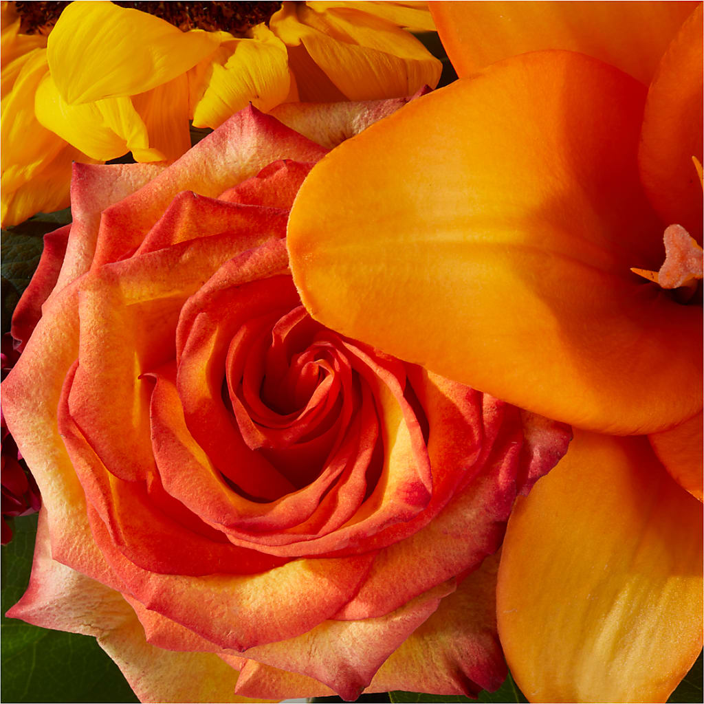 Grateful Centerpiece –  Jnblooms Llc, Spring Hill FL