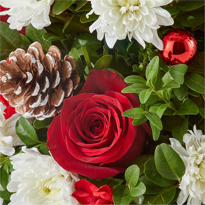 Let It Snow Tree –  Jnblooms Llc, Spring Hill FL