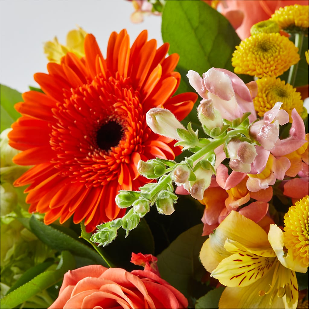 Autumn Sunshine Bouquet –  Jnblooms Llc, Spring Hill FL