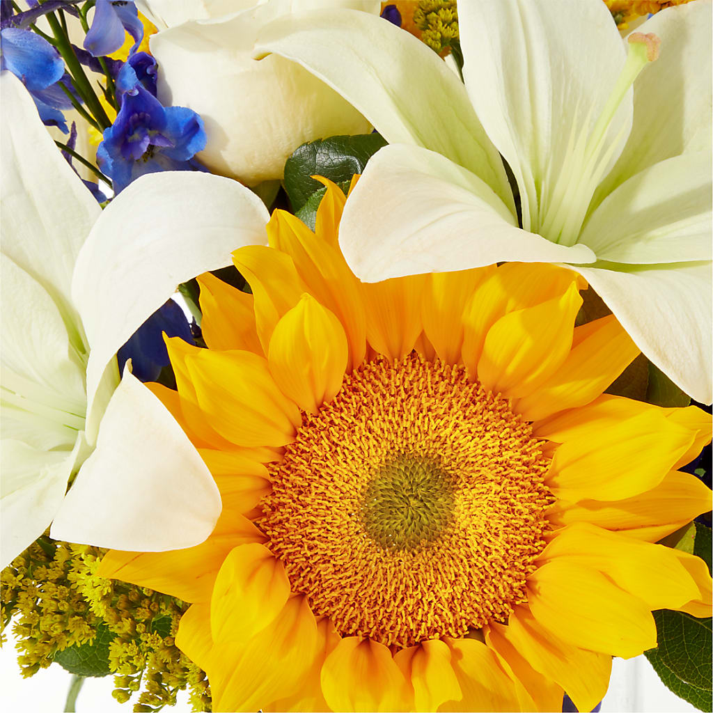 Stargazing Bouquet –  Jnblooms Llc, Spring Hill FL